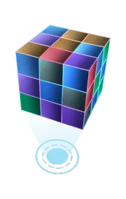 Loyalty Program by Dapp Expert